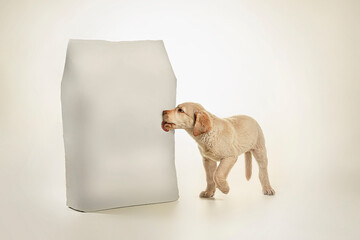 Cute puppy dog licking a pack of dog food. Studio shot for advertising. Clean and white background....