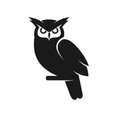 Papier Peint photo Dessins animés de hibou black and white owl