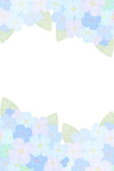 アジサイのフレーム 水色の紫陽花 白背景