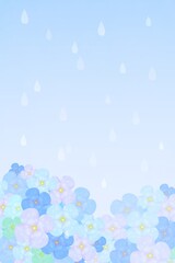 雨とアジサイ 梅雨 ブルー 水色 縦