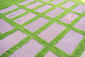 Lawn and sidewalk in the park.