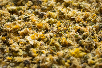 Close up of Dried Chrysanthemum, the herb is often used as a health care