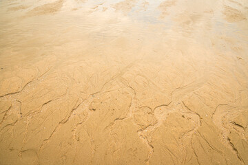 Water erodes the sand on the beach