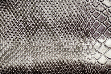 Close up of snake skin texture