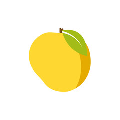 Mango icon on white background.; vector illustration
