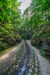 Coburg, a historic town in the heart of Bavaria, is known for its impressive fortress Veste Coburg, which towers over the town