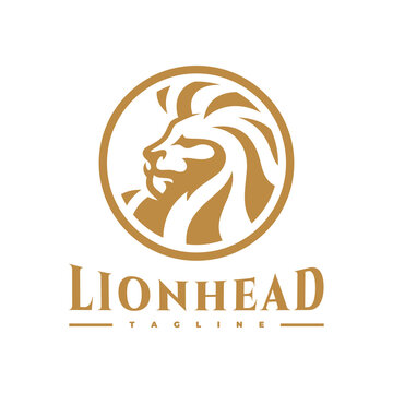 Lion head and circle frame logo illustration. Lion emblem vector icon