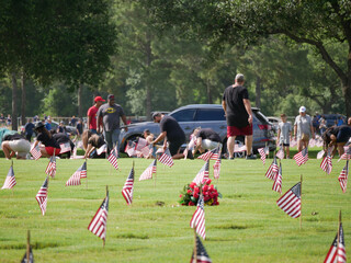 Fototapeta premium memorial day flag planting