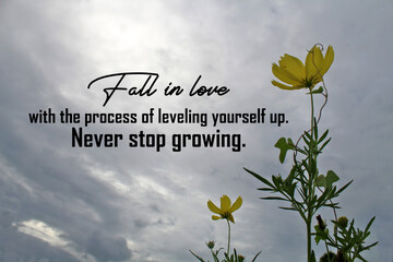 Inspiration motivational quote - Fall in love with the process of leveling yourself up. Never stop...