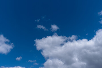 white clouds in the blue sky. cumulus.
