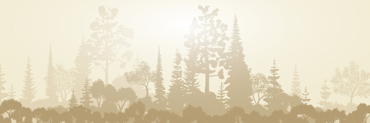 Forest in the morning mist, sepia tones, panoramic view