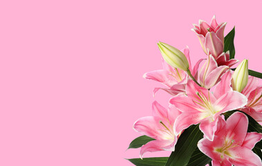 Bouquet with beautiful lily flowers on pink background, space for text
