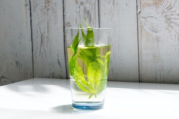 Cannabis herbal tea also known as weed tea, pot tea, ganja tea or a cannabis decoction. Cannabis Sativa