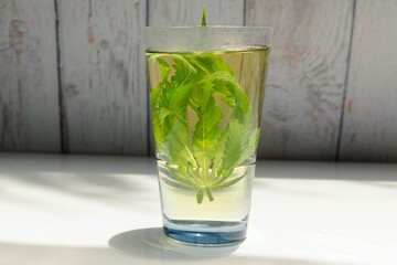 Cannabis herbal tea also known as weed tea, pot tea, ganja tea or a cannabis decoction. Cannabis Sativa