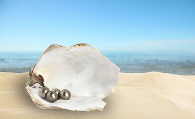 Open oyster shell with black pearls on sandy beach near sea
