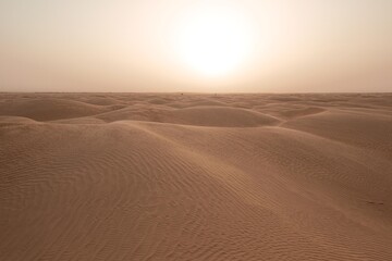 Fototapeta na wymiar Sahara im Sonnenuntergang