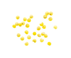 Millet groats isolated on a white background.