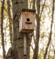 Birdhouse on a tree in the spring