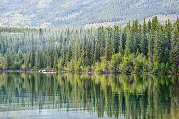 Fototapeta na wymiar A boat dock across the water at Kiniskan Lake Provincial Park in British Columbia, Canada