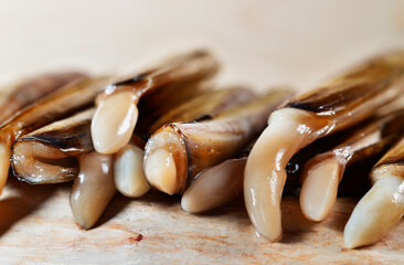 Grooved razor shell studio shot © vittoria