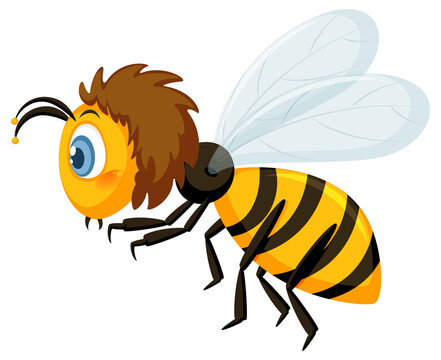 Side view of a bee in cartoon style