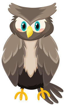 Grey owl bird in cartoon style