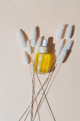 transparent frosted glass cosmetic bottle mock up and bouquet of dry Lagurus on beige background. Top view. Copy space. Unbranded cosmetics for skincare