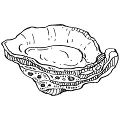 Oysters vector with engraving style illustration of logo or emblem for design seafood menu, lunch. Classic American steakhouse or French bistro appetizer.