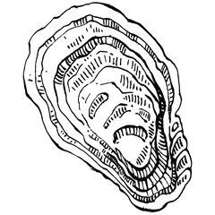 Oysters vector with engraving style illustration of logo or emblem for design seafood menu, lunch. Classic American steakhouse or French bistro appetizer.