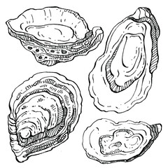 Oysters vector with engraving style illustration of logo or emblem for design seafood menu, lunch. Classic American steakhouse or French bistro appetizer.
