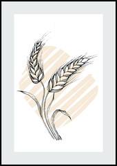Wheat Botanical wall art vector. Minimalist boho foliage line art drawing with abstract shape. Abstract Plant Art design for print, cover, wallpaper, Minimal and natural wall art. Wheat