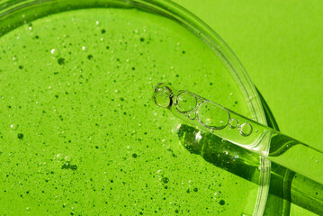 Dropper pipette with serum or cosmetic liquid and petri dish on green background. Transparent container with liquid and bubbles. The appearance of the texture of the gel. Medicine and beauty concept.