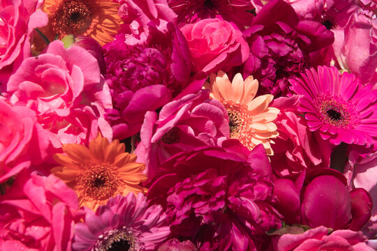 Abstract seamless red, pink and orange roses, peonies and gerbera flowers 