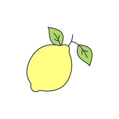 Citrus fruit icon in color, isolated on white background 