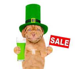 St Patrick's Day concept. Smiling puppy wearing hat of the leprechaun holds glass of green beer...