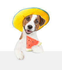 Happy jack russell terrier puppy wearing summer hat holds a watermelon in it paw above empty white...