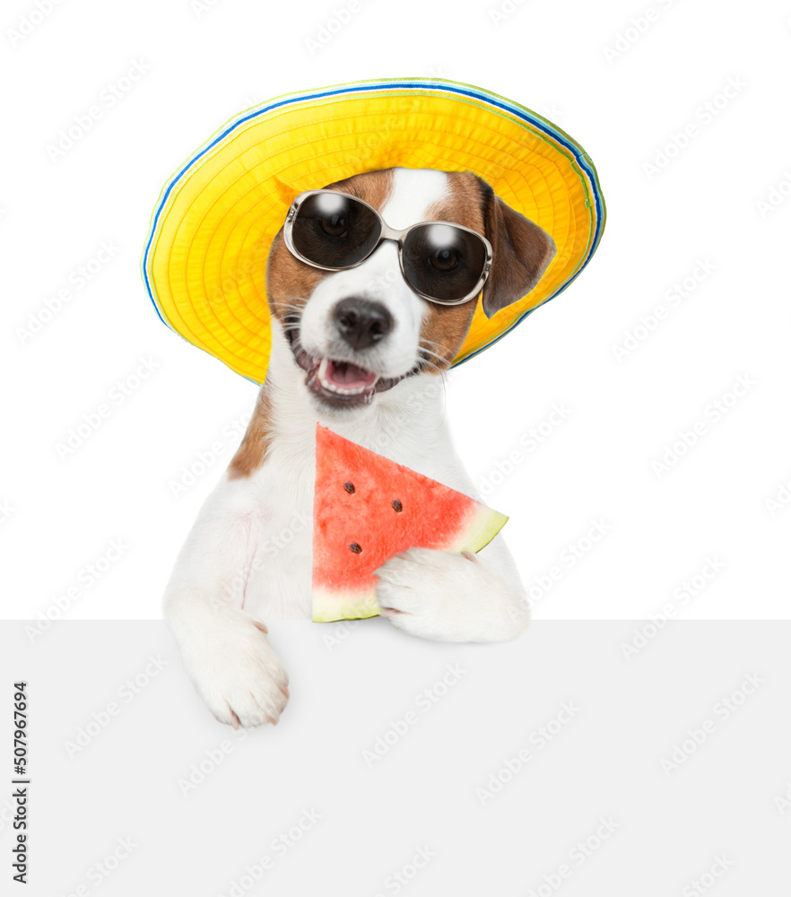Poster smiling puppy with sunglasses and summer hat holds a watermelon in it paw above empty white banner. 