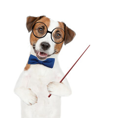 Smart Jack russell puppy wearing eyeglasses and graduation hat points away on empty space. isolated on white background