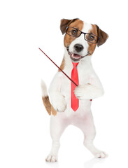 Smart Jack russell terrier puppy wearing  eyeglasses and necktie points away on empty space. isolated on white background