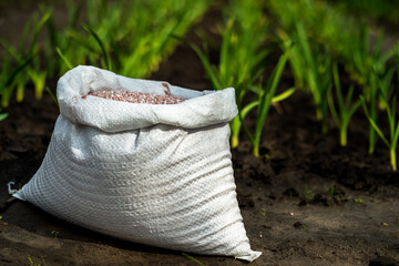 A white bag with fertilizers in close-up against the background of seedlings on an earthen bed....