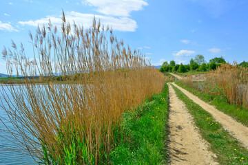 Ground road between two small lakes.
Spring picturesque sunny water landscape in nature outdoors by a reservoir on the shore of a pond or lake
 in good weather.