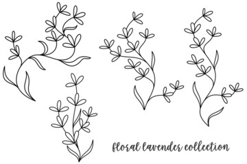 Fototapeta premium 4 of floral lavender collection on white