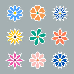 Vector colored flower with white stroke, blooming illustration with design, sticker.