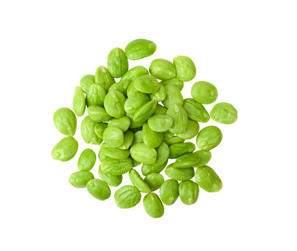 Bitter beans isolated on white