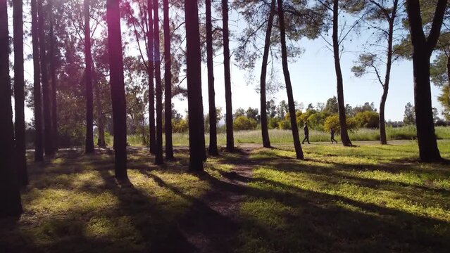 La natura