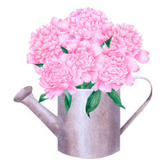 Watercolor hand painted peony bouquet in watering can. Botanical poster with peonies in vase. Gardening equipment item with flowers illustration isolated on white. 