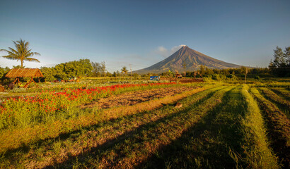 Mayon Volcano with a leading lines from rice fields in legazpi city albay Philippines