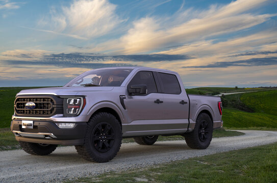 New Ford F-150 Rattler
