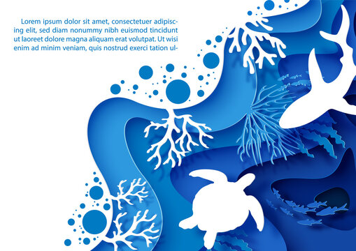 Card And Poster Scene Of Under The Sea And Ocean In Layers Paper Cut Style And Vector Design With White Sea Turtle And Shark, Example Texts.