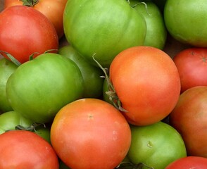 Green and red tomatoes